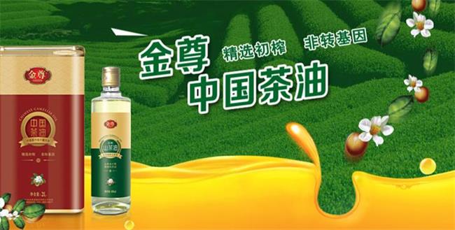 盤中餐品牌logo與食品包裝設(shè)計(jì)欣賞(圖2)