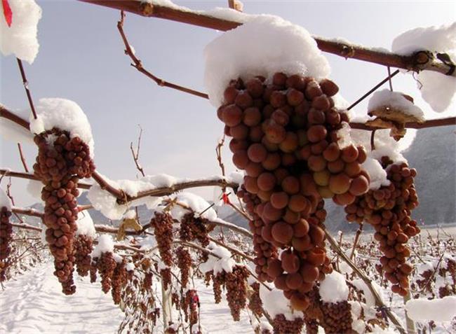 幸福小農(nóng)品牌logo與食品包裝設(shè)計(jì)欣賞(圖2)