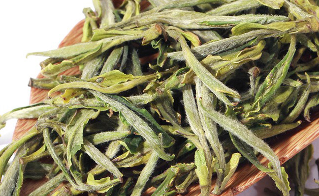 ZNPNTON正品堂品牌logo與食品包裝設計欣賞(圖3)