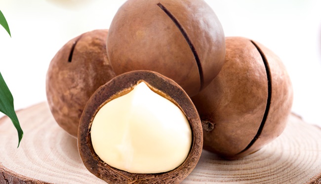 舌里品牌logo與食品包裝設(shè)計(jì)欣賞(圖3)