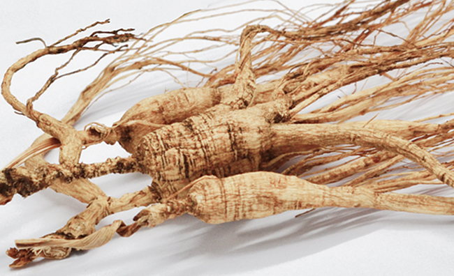 吉韓莊品牌logo與食品包裝設(shè)計欣賞(圖4)