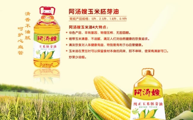 阿湯嫂食品包裝設計欣賞(圖4)