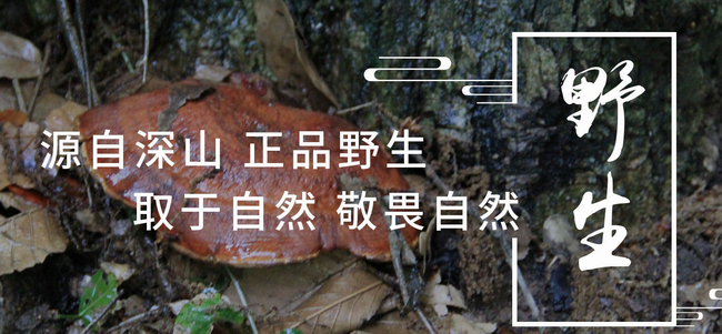 黃山云樂食品包裝設(shè)計欣賞(圖2)