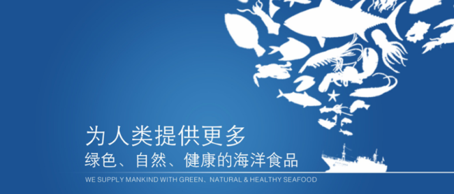 大洋世家食品包裝設(shè)計(jì)欣賞(圖4)