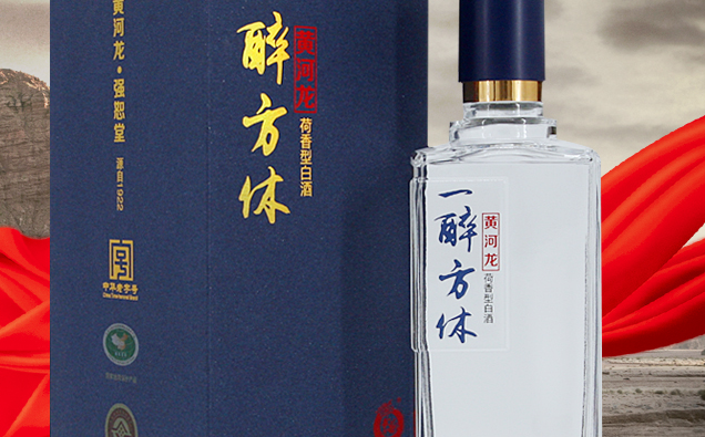 黃河龍 黃河龍食品包裝設(shè)計(jì)欣賞(圖4)