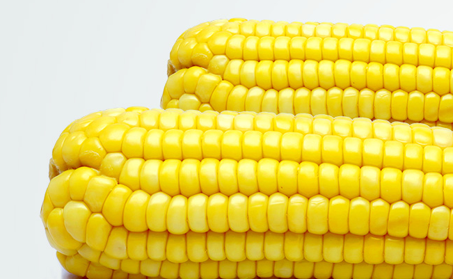 黃羊河食品包裝設(shè)計(jì)欣賞(圖2)