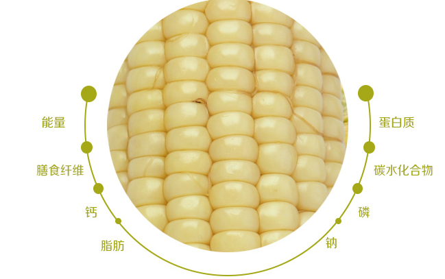 黃羊河食品包裝設(shè)計(jì)欣賞(圖3)