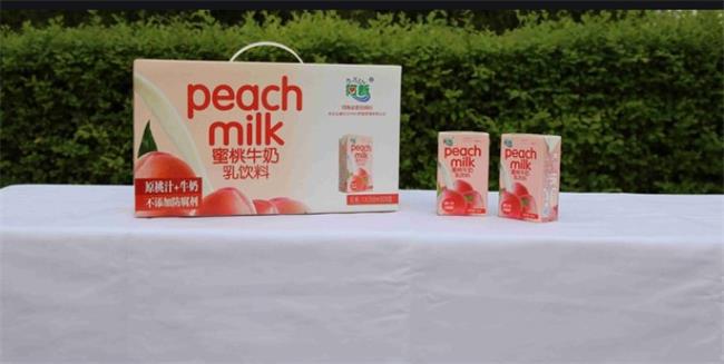 阿新食品包裝設(shè)計欣賞(圖3)