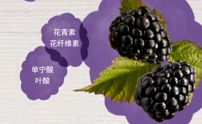 Driscolls怡顆莓食品包裝設(shè)計欣賞(圖4)