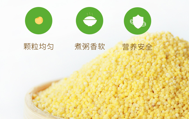 jianbuluo堿不落食品包裝設(shè)計(jì)欣賞(圖2)