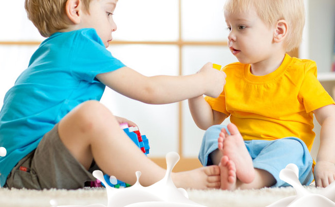 VDL VAN食品包裝設(shè)計(jì)欣賞(圖3)