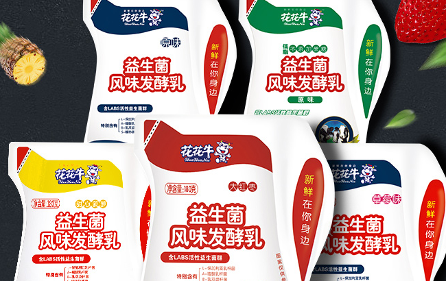 HuaHuaNiu花花牛食品包裝設(shè)計(jì)欣賞(圖3)