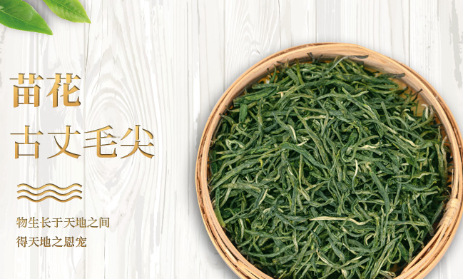 古丈毛尖食品包裝設(shè)計(jì)欣賞(圖2)