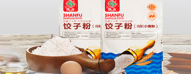 陜富食品包裝設(shè)計(jì)欣賞(圖3)