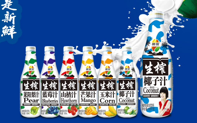 椰田食品包裝設(shè)計(jì)欣賞(圖4)